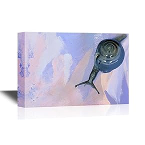 Snail on Abstract Background