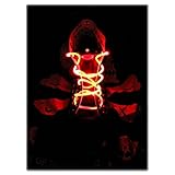 Topcabin LED Shoelaces with Continuous and 2 Blinking Modes in 5 Colors Flash Lighting the Night for Party Hip-hop Dancing (Red)