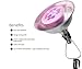 Indoor LED Grow Light Bulbs w/ Clamp Reflector (12W) Efficient Greenhouse Red & Blue Hydroponics Lighting | Produce Healthier Plants, Herbs, Flowers