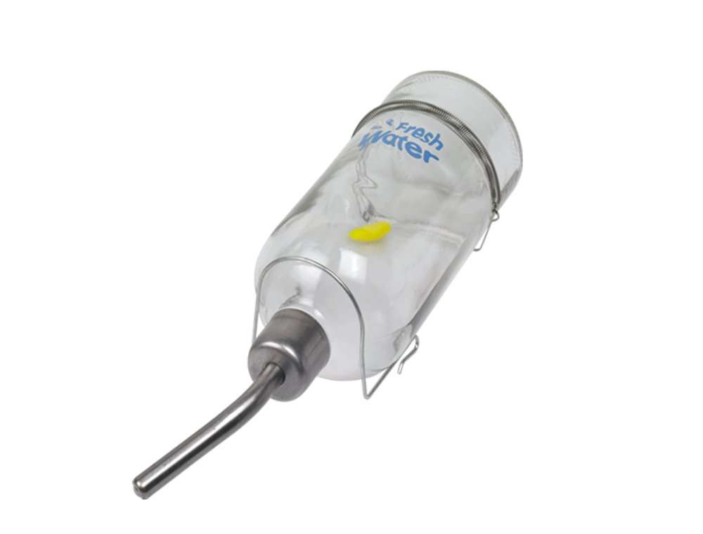 Nobby Glass Drinking Bottle, 769 ml