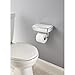 Delta Porter Polished Chrome Toilet Paper Holder with Mobile Phone Storage