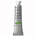 Winsor & Newton Professional Water Colour Paint, 0.17-oz Tube, Permanent Sap Green