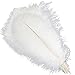 Sowder 5pcs Ostrich Feathers 16-18inch(40-45cm) Home Wedding Decoration(White)