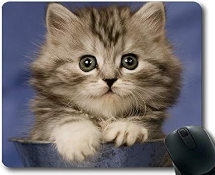 Amazon ゲーミングマウスパッド 子猫ぶち猫動物猫マウスパッド コンピュータcat121用マウスマット Yanteng マウスパッド 通販