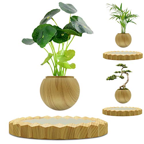 Floating Wooden Bonsai Pot for Home and Office Decor-Levitation air Bonsai for Children Gifts and Desk Decor