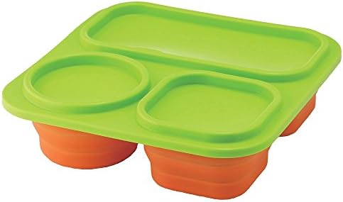 SALUS multi Conti L 3h x Green Orange (japan import)
