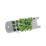 AeroGarden Seed Starting System (Sprout)