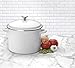 Cuisinart Chef's Classic Enamel on Steel Stockpot with Cover, 10-Quart, White
