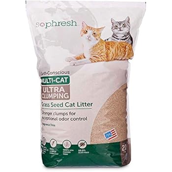 So Phresh Extreme Clumping Unscented Grass Seed Cat Litter, 20 lbs.