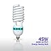 LimoStudio [1 Pack] 45 Watt, 5500K Fluorescent Daylight Balanced Light Bulb for Photography and Video Lighting, AGG876