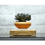 Magnetic Levitation Air Bonsai