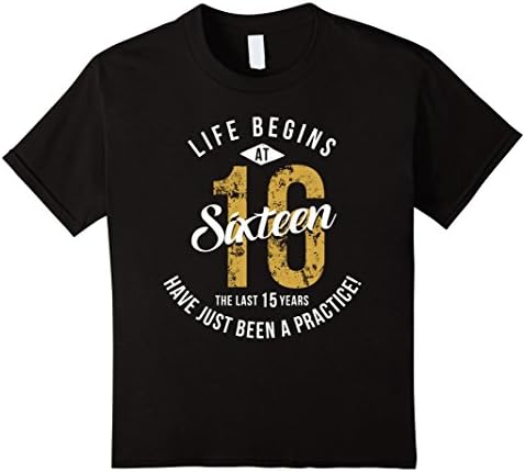 unisex-child Life Begins at 16 - 16th Birthday Gift T-Shirt 12 Black