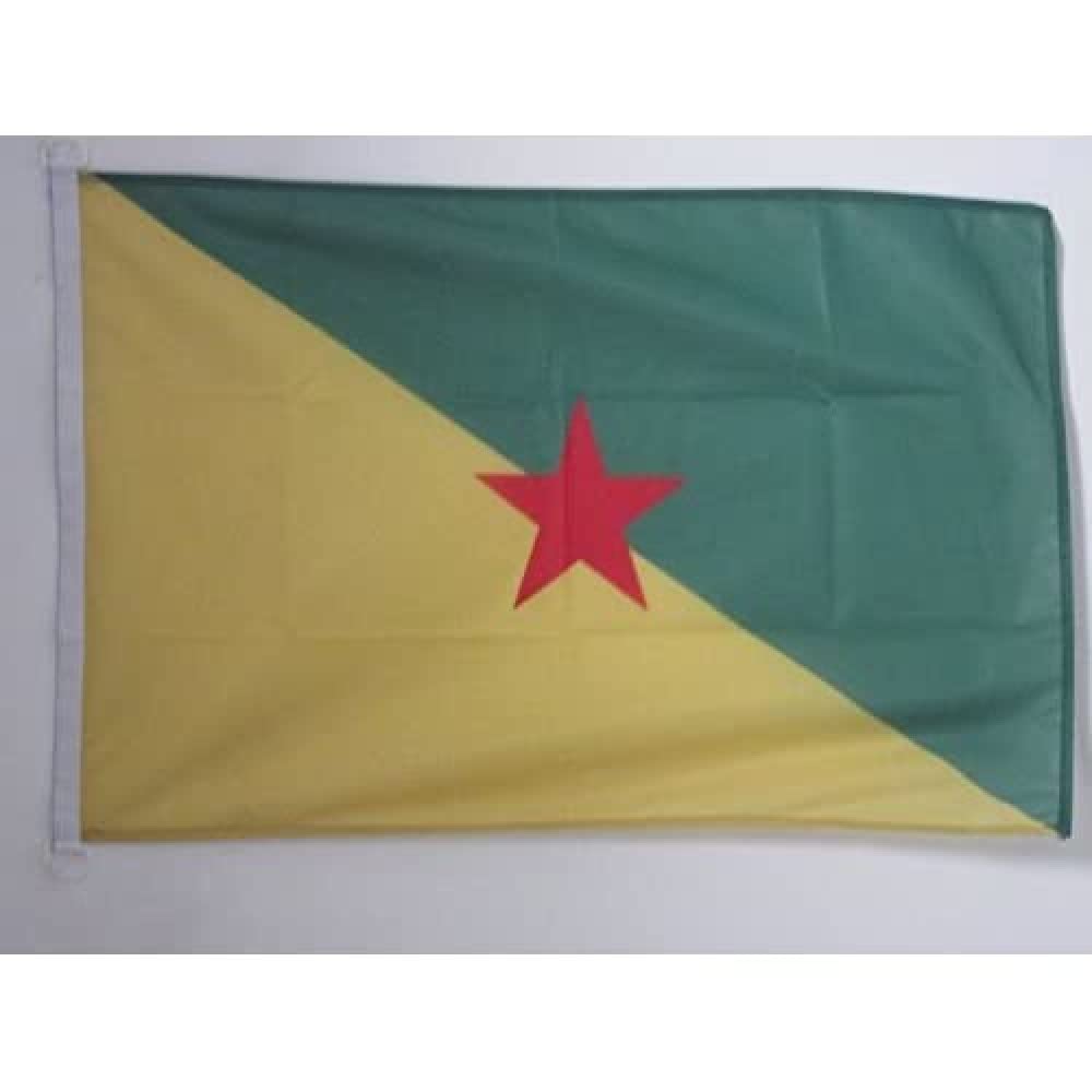 AZ FLAG - French Guiana Flag - 2x3 Ft - For Outdoor - French region of Guyane française Banner Knitted Polyester with Two Plastic Rings - Fade Resistant - Vivid Colors - 2' x 3' Feet - 90x60 Cm