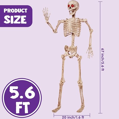 415Az1BVD9L.jpg
