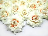 (24) Silk Cream Roses Flower Head - 1.75