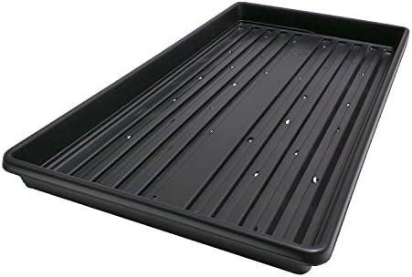 50 Shallow Ultraweight Germination Trays for Wheatgrass, Microgreens, Sprouting – Made in USA – Thick, Durable, Reusable (50, Black WITH Holes)