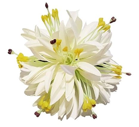 Spider Lily Hair Clip Hawaiian Flower Hair Clip Hawaiian Hair