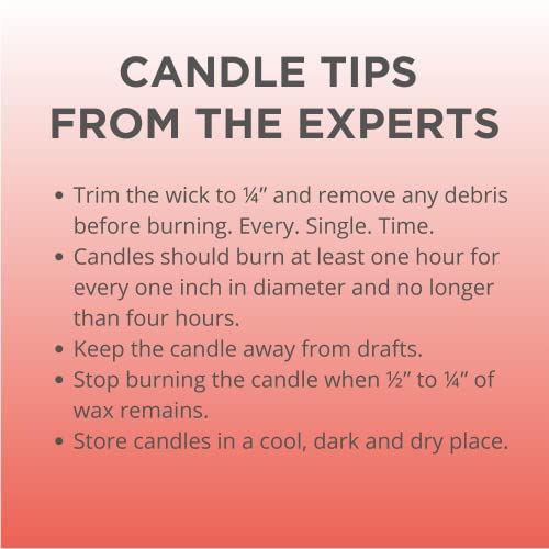 Emergency Candle Clean Burning Unscented Uncolored All Natural Soy