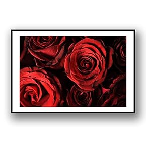 Framed Canvas Wall Art for Living Room, Bedroom Rose Flowers Canvas Prints for Modern Home Decoration Ready to Hang - 16"x24" inches