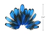 Moonlight Feather, Blue Laced Hen Feathers for Crafting 12 feathers/bag