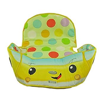 fisher price car gym