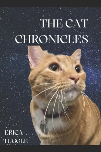 Full Steam Ahead, Felix!: Moore, Kate: 9781405942300: Amazon.com