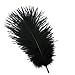Shekyeon 8-10inch(20-25cm) Ostrich Feather Plumes Wedding Centerpiece Table Decoration Pack of 20(Black)