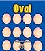 Oval (First Step Nonfiction (Paperback))