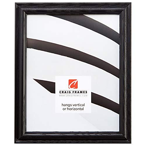 Craig Frames 130ASHBK 1-Inch Wide Picture/Poster Frames with Wood Grain Finish,…