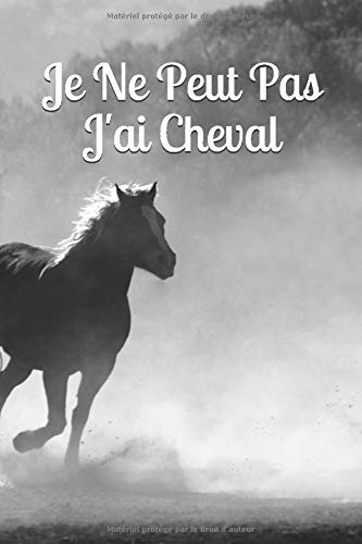 Carnet De Note Je Ne Peut Pas J Ai Cheval Carnet De Notes Cahier 6x9 Pouces Humour Cheval Equitation 100 Pages Lignees Idee Cadeau French Edition Tshirt Snk Amazon Com Books