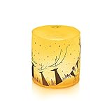 MPOWERD Luci Winter  Solar Lantern