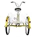 Domingo Petrucci Adult Tricycle Trike 26 inch Cruise Bike Three-Wheeled Bicycle with Large Size Basket for Recreation, Shopping, Exercise Men’s Women’s Bikethumb 4