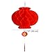 FancyWolf 10 Pcs Chinese New Year Lanterns Red Lanterns Set of 10 for Chinese Spring Festival Wedding Festival Restauran Party Decoration (20 Cm/7.9