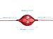 KUYOU Boxing Ball Speed Training Ball Double-end Bags Leather Speed Bag Punching Dodge MMA with Ring Locking for Training Gym Exercise Agility - Red