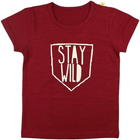 Andiler Little Boys 12M-4T Slub Cotton Crewneck Short-sleeve T-shirt Color Burgundy Size 4T