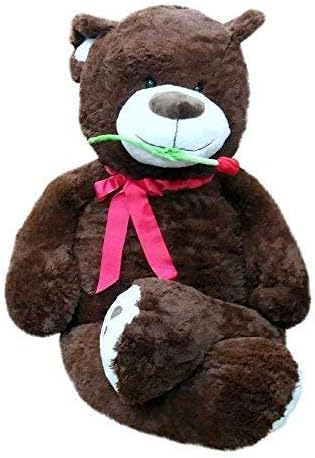 big teddy bear and roses