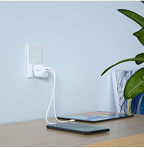 USB C Charger, Solucky Foldable Dual Port 18W Wall Charger with Power Delivery PD 3.0 and One USB Power Port for iPhone 11/XS/SE/Max/XR/X/8/7/6/Plus, iPad Pro/Air,Samsung Galaxy S10/S9, and More