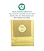 Crucial Vacuum Replacement Vacuum Bags - Compatible with Bissell Zing Part # 3210 - Fit Models 7100 & 7100L - Compact Bag for Pre-Motor and Post-Motor Filters - Bulk (10 Pack)