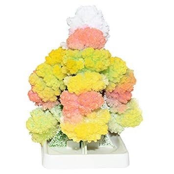 FidgetGear Magic Growing Crystal Christmas Tree Kids Creative Birthday Gift Educational Novelty Games Toy Small Christmas Tree