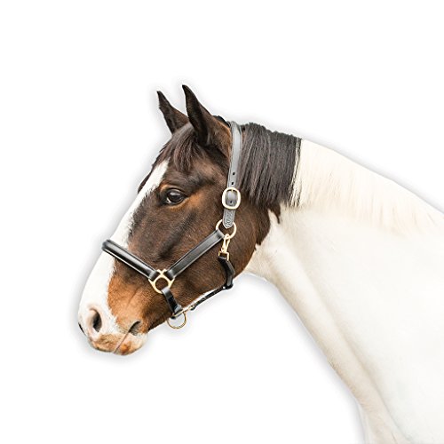 Loveson Leather Halter