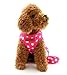 SELMAI Puppy Small Dog/Cat Dots Vest Harness Leash Set Mesh Padded No Pull Lead