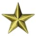 3D 5 Point Bronze Star Lapel Pin
