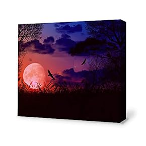 SIGNFORD Canvas Wall Art for Living Room,Bedroom Home...