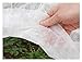Agribon AG-19 Floating Row Crop Cover / Frost Blanket / Garden Fabric Plant Cover primary