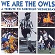 Sheffield Wednesday: We Are The Owls