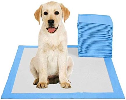 dog potty mat