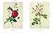 The Roses: Pierre-Joseph Redoute, 1759-1840