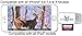 BoneView SD MicroSD Card Reader for Apple iOS, Trail Cam Viewer Plays Deer Hunting Game Camera Scouting Video & Photo Memory on iPad iPhone 5, 6, 7, 8, X - Plus Free Lightning Extender & App