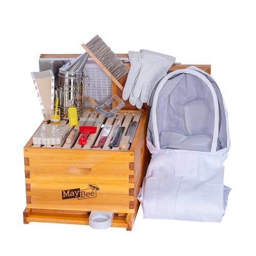 MayBee 10-Frame Beehive Starter Kit