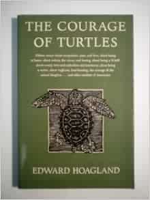 Edward hoagland essay the courage of turtles 04 picture
